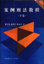 案例刑法教程  下