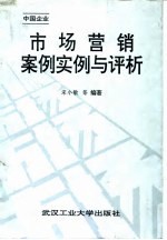 市场营销案例实例与评析  中国企业