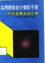 实用财务会计查帐手册  中外合营企业分册