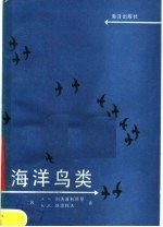 海洋鸟类