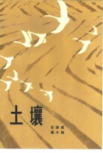 土壤