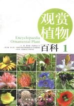 观赏植物百科  1