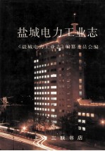 盐城电力工业志