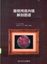 腹侧颅底内镜解剖图谱