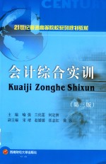 21世纪普通高等院校系列  会计综合实训  第3版