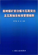 梨树煤矿防治煤与瓦斯突出及瓦斯抽采标准管理细则