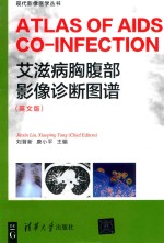 现代影像医学丛书  艾滋病胸腹部影像诊断图谱  英文版