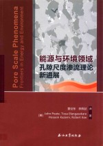 能源与环境领域孔隙尺度渗流理论新进展