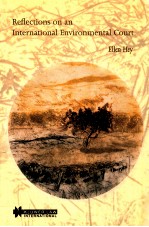 Reflections on an International Environmental Court
