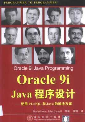 Oracle 9i Java程序设计＝Oracle 9i Java programming：使用PL/SQL和Java的解决方案