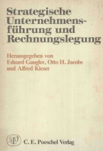Strategische Unternehmensführung und Rechnungslegung