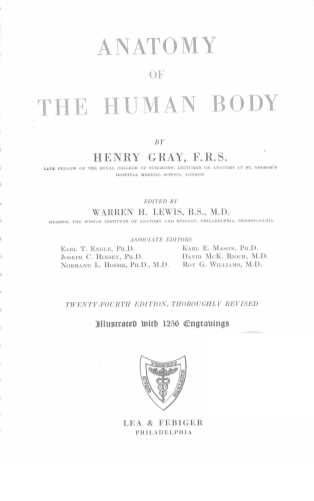 Anatomy of the human body