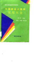 中国新会计报表实用大全