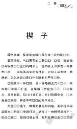 新花雨：爱在宁静海