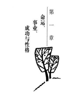 梦工场：从性格掌握人生