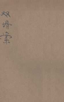双婿案  言情小说