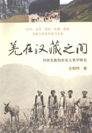 羌在汉藏之间  川西羌族的历史人类学研究
