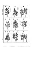 本草纲目  第4册