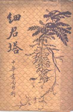 细君塔  第4版