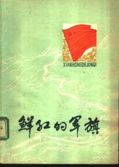 鲜红的军旗（散文集）