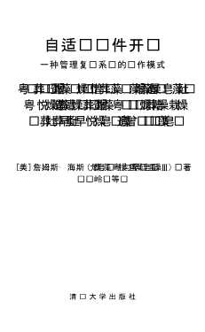 软件管理与软件工程译丛：自适应软件开发