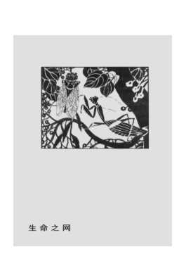 天地·生命·环境国民素质教育丛书：自然启示录