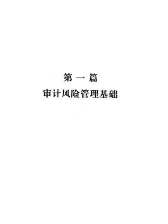 风险管理面面观丛书：审计风险管理
