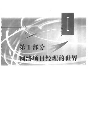 软件项目管理系列丛书：网站项目管理