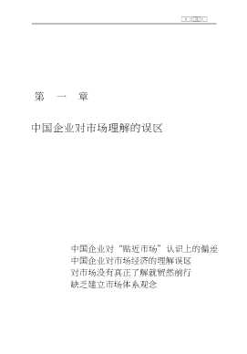 完全实战指引：中国市场行销误区