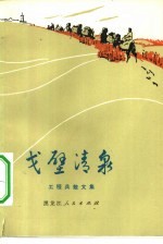 戈壁清泉  工程兵散文集