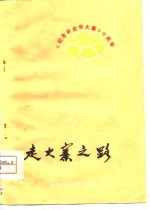 走大寨之路