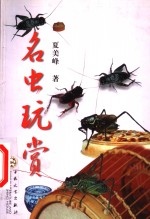名虫玩赏