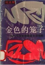 金色的笼子  当代中国婚姻家庭生活掠影