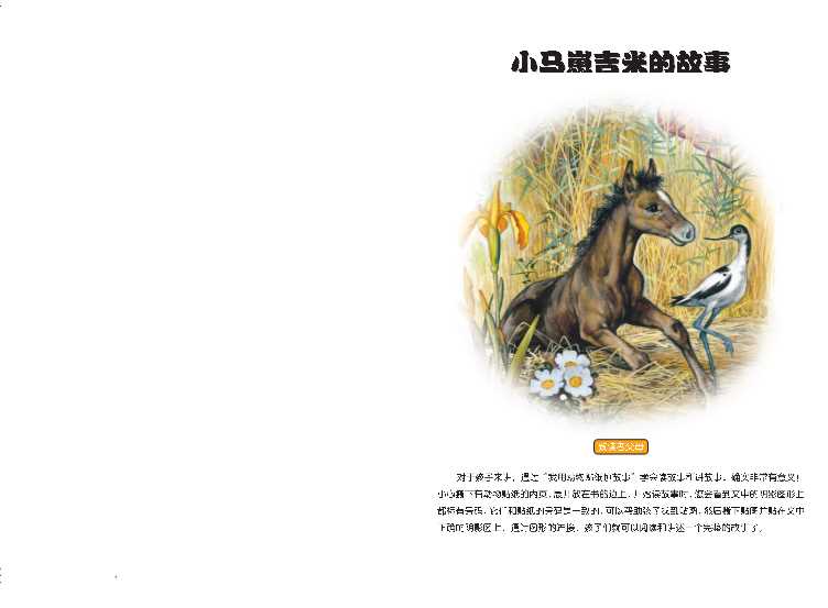 小马崽吉米的故事