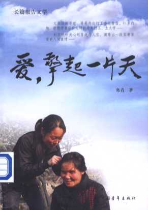 爱,擎起一片天：长篇报告文学