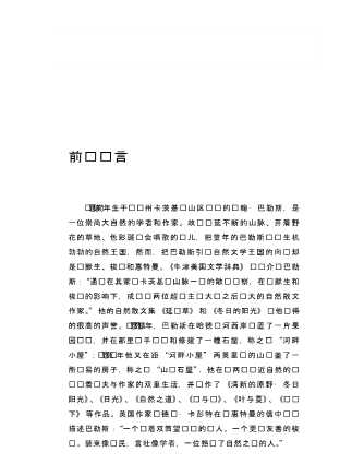 清新的原野冬日阳光