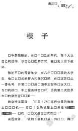 新花雨：爱在宁静海