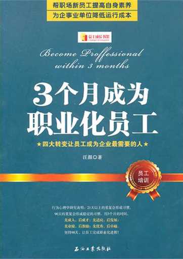 3个月成为职业化员工-汪颜