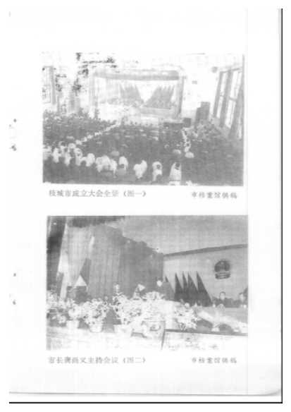 枝城市文史资料第2辑-中国人民政治协商会议武汉市汉阳区委员会文史资料征集委员会