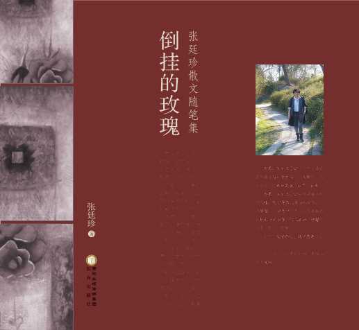 倒挂的玫瑰-张廷珍