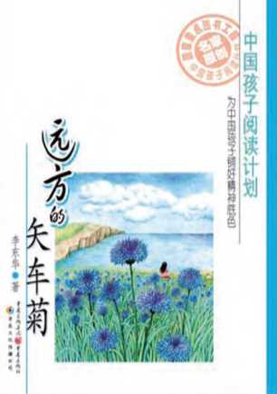 远方的矢车菊-李东华