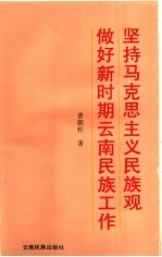 坚持马克思主义民族观做好新时期云南民族工作