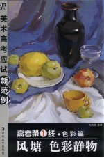 高考第1线  色彩篇  风塘  色彩静物