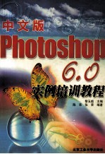 Photoshop 6.0实例培训教程