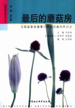 最后的蘑菇房  元阳县新街镇箐口村哈尼族村民日记
