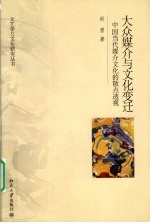 大众媒介与文化变迁  中国当代媒介文化的散点透视