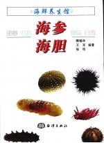 海鲜养生馆  海参、海胆
