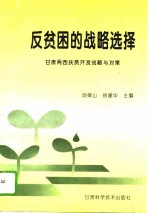 反贫困的战略选择  甘肃两西扶贫开发战略与对策