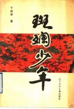 斑斓少年