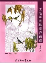 工笔画线描花卉画谱  合欢篇